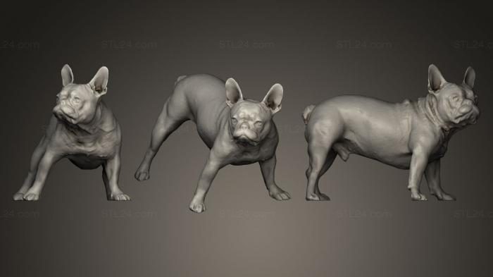 Статуэтки животных (СОБАКА B17, STKJ_0238) 3D модель для ЧПУ станка